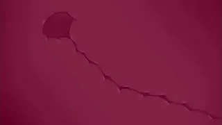 Careless floccus porn 4&colon; friends on a difficulty beach